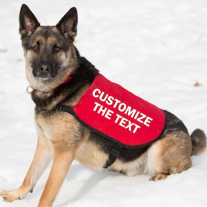 CUSTOMIZE Your Dog Jacket Vest - You Choose the Text