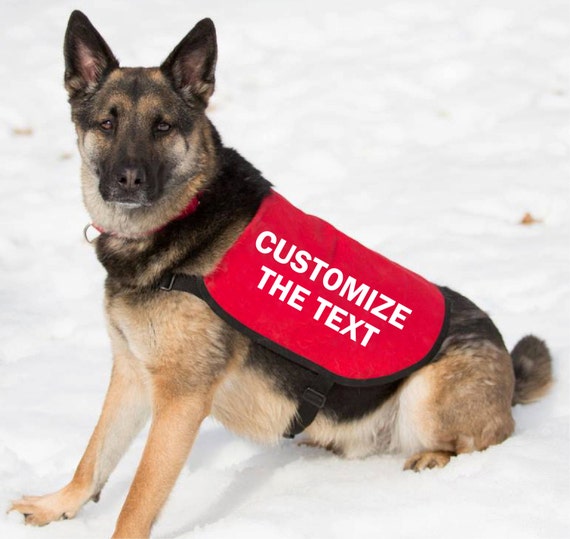 Customize Your Dog Jacket Vest You Choose The Text Etsy - roblox dog etsy