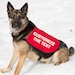 lalena71 reviewed CUSTOMIZE Your Dog Jacket Vest - You Choose the Text