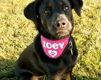 May include: A black dog with brown markings wearing a pink bandana with the name "Joey" and a paw print on it. The dog is sitting in a grassy field.