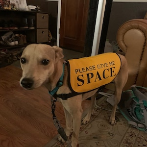 Veste sans manches pour chiens travaillant sur des problèmes Please Give Me Space image 9