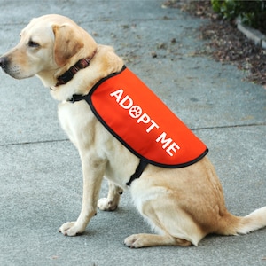Adopt Me Dog Jacket Vest