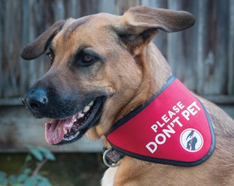 Please Don't Pet Bandana Scarf for Dogs