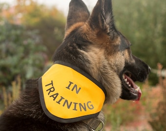 IN TRAINING Bandana Scarf for Dogs