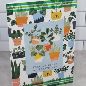 Everyday Cards