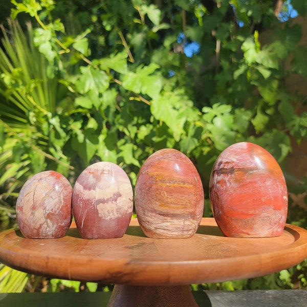 Petrified Wood Fossil Free Forms