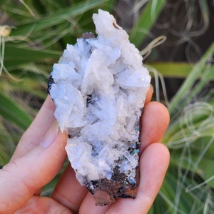 May include: A close-up of a mineral specimen featuring a cluster of white, crystalline formations atop a dark, textured base. The crystals have a sparkling appearance, with hints of blue and green. The background is blurred green foliage.