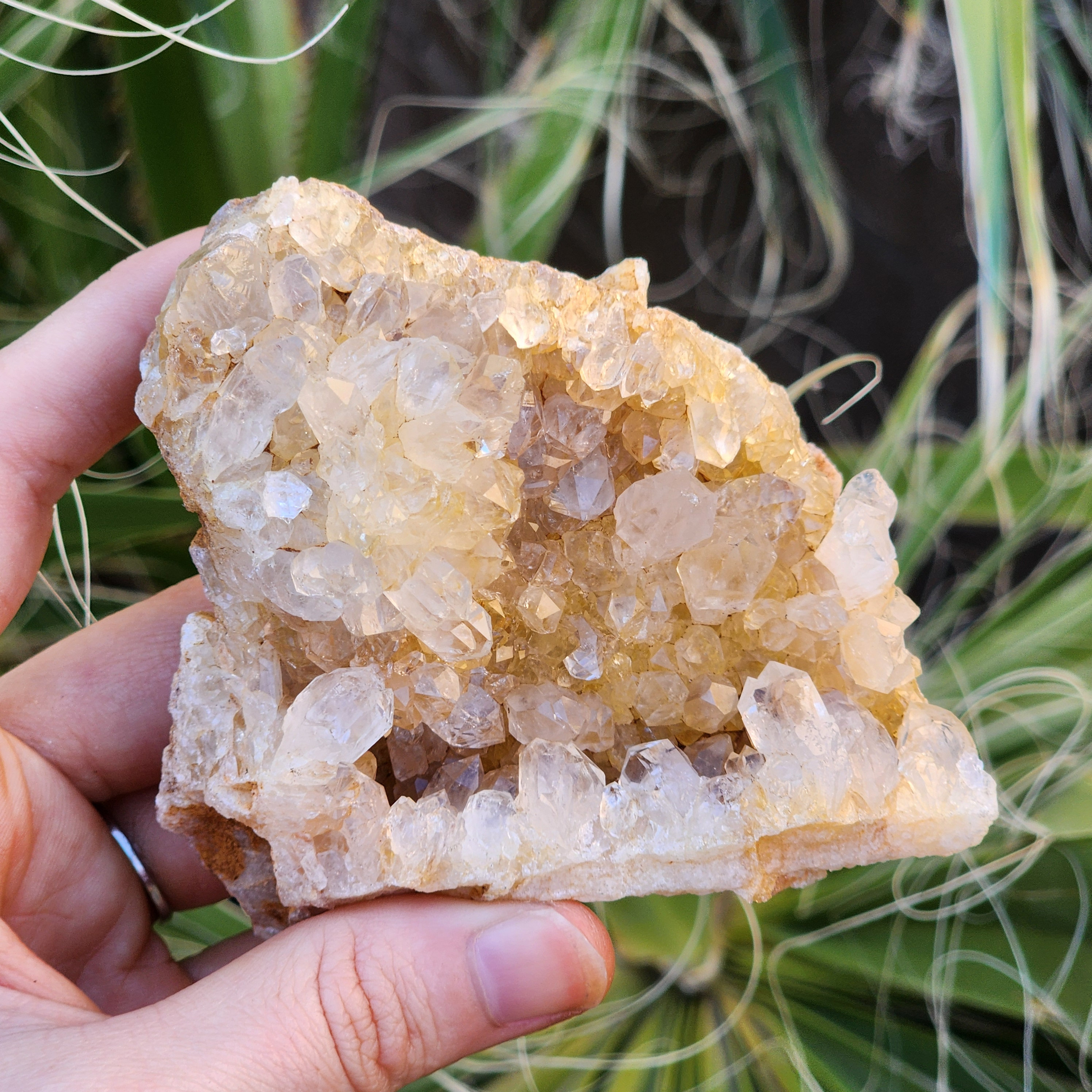 Golden Healer Limonite Quartz from Zambia