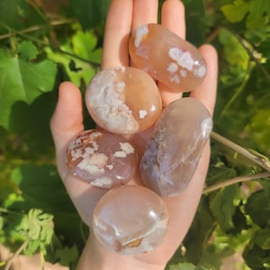 Flower Agate Palm Stones