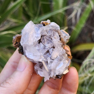 May include: A cluster of clear quartz crystals with a brown matrix. The crystals are sharp and well-defined, with a glassy luster. The matrix is rough and textured.