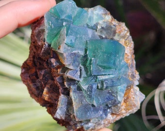 May include: A cluster of green fluorite crystals with a brown matrix. The crystals are sharp and well-defined, with a glassy luster. The fluorite is a popular mineral for collectors and is known for its beauty and healing properties.