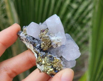 May include: A cluster of clear, translucent crystals with a pink hue, set in a matrix of gold and black pyrite. The crystals are arranged in a cluster, with some of the crystals pointing upwards.
