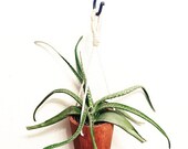 Indoor hanging wooden planter