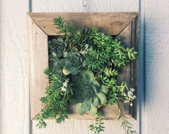Hanging wall planters