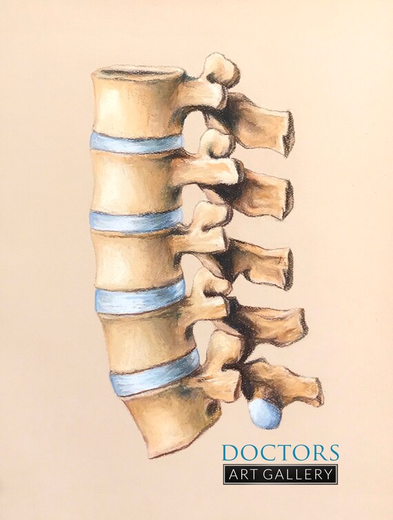 Vintage Dorsal Spine Osteology Vertebrae Bone Anatomy Art Print