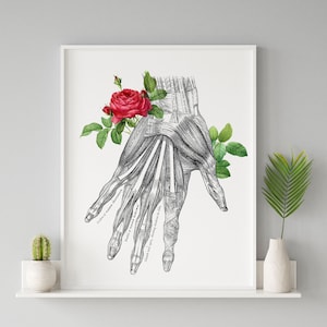 Hand Flexor Muscle Ligament Tendon Flower Rose Vintage Anatomical Art Print Floral Medical Illustration