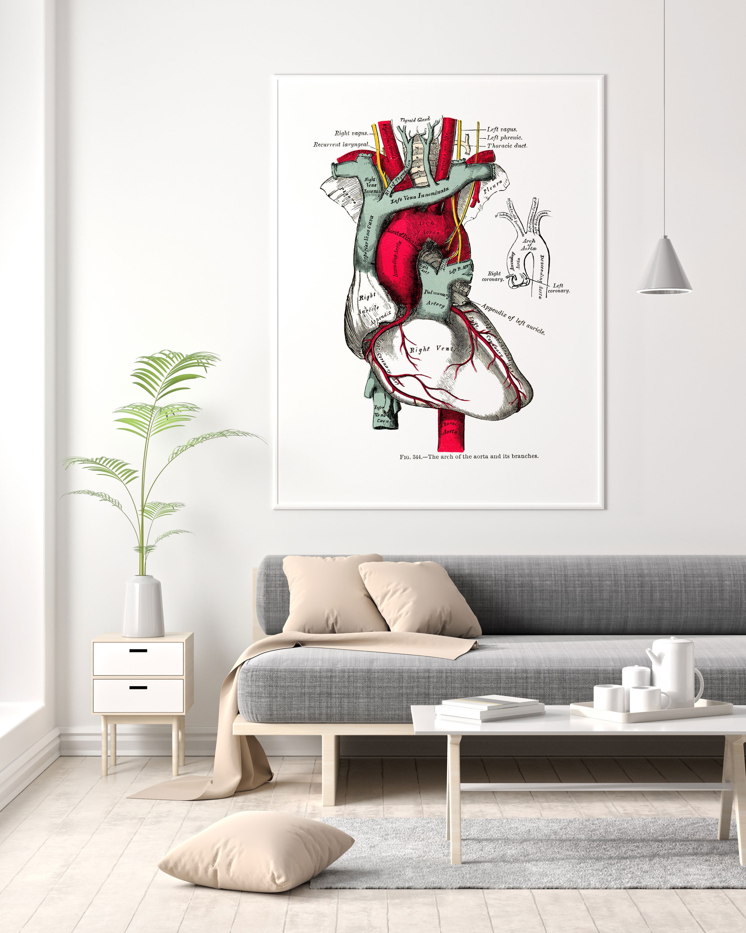 Heart Aorta Cardiology Human Anatomy Art Print Vintage Medical - Etsy