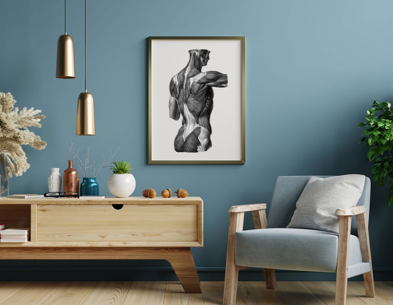 Muscles of the Back Vintage Human Anatomy Art Print Black and White - Etsy