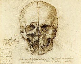 Antique art prints, Da Vinci Anatomical Medical Print, Studies of Skull, Leonardo da Vinci FINE ART PRINT, Vintage art, drawing reproduction