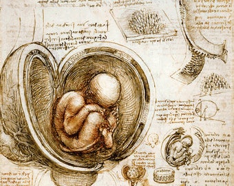 Antique art prints, Da Vinci Anatomical Medical Print, Studies of Fetus in the Womb Leonardo da Vinci FINE ART PRINT, drawing reproduction