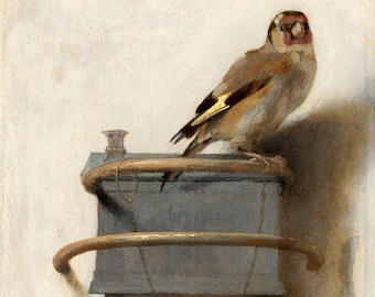 Goldfinch vintage antique art prints, art posters, Vink Carel Fabritius FINE ART PRINT, animals, birds paintings, drawings, reproductions