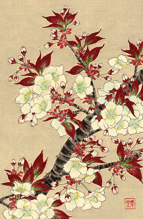 Japanese flowers art prints, floral art, Blooming Sakura Cherry Blossoms  fine art print, paintings, woodblock prints, wall art home decor