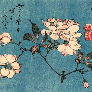 FUKUI KAITO NY FLOWER POSTER edition 30(Japanese Art FUKUI KAITO NY FLOWER POSTER edition 30(Japanese Art