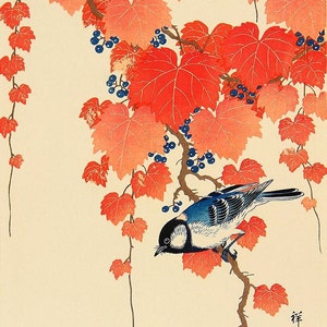 Japanese birds and flowers art prints, posters, Bird, Red Ivy Ohara Koson FINE ART PRINT, Japanese paintings, woodblock prints reproductions image 1