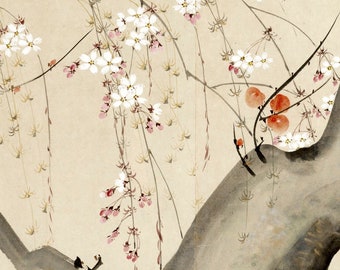 Japanese art, Flowers and plants, Sakuras, Cherry blossoms paintings, Sakura in Bloom Hoitsu FINE ART PRINT, art posters, Sakura wall art