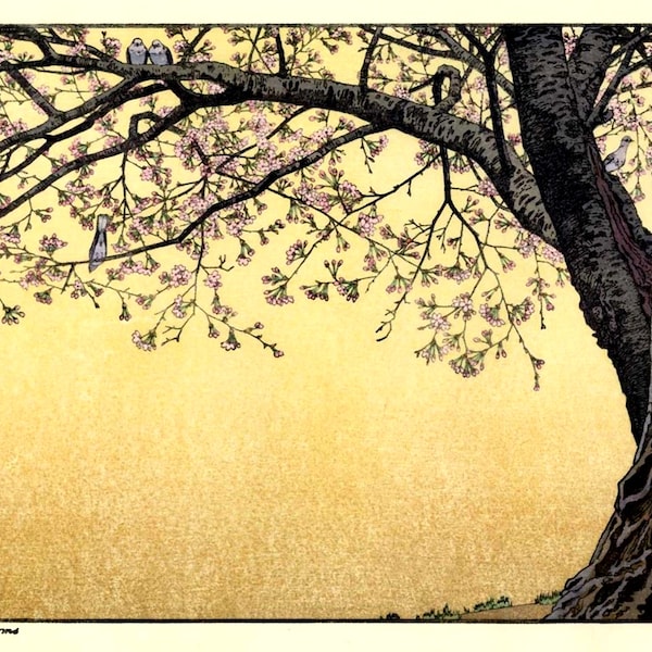 Japanische Kunst, Sakura Kirschblütendruck, Blühender Kirschbaum Yoshida Toshi FINE ART PRINT, Kunst Poster, Holzschnitt, Wandkunst, Geschenke