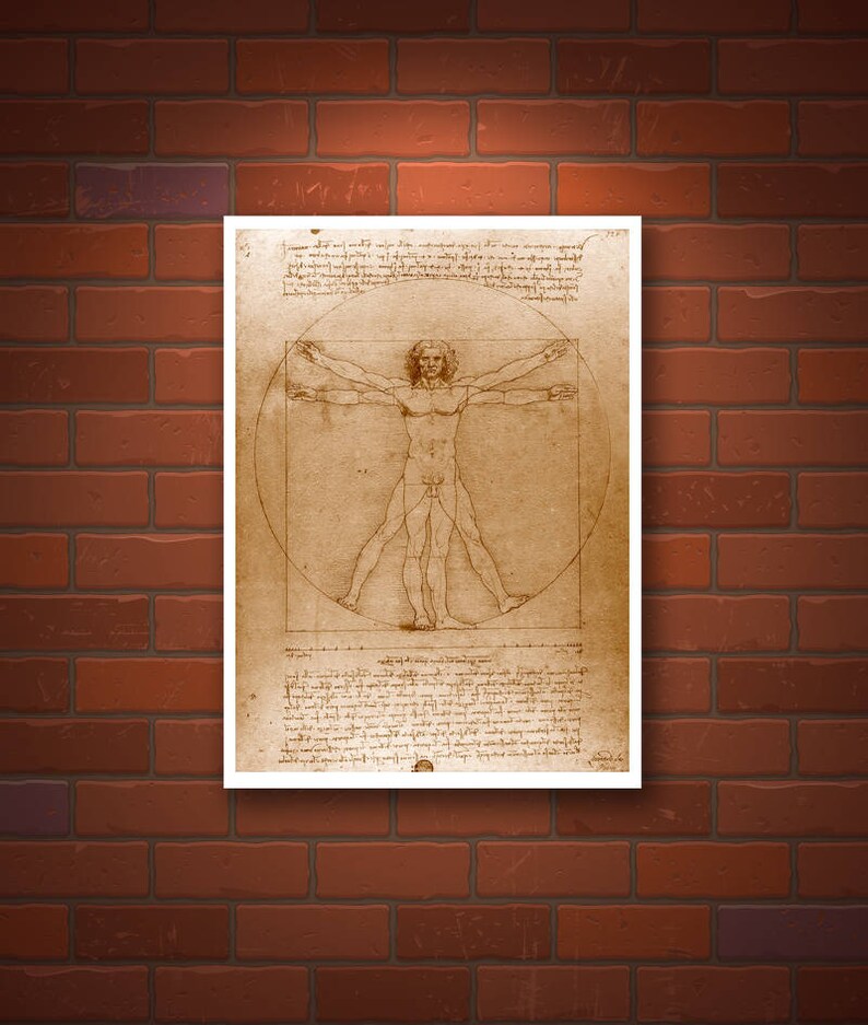 human anatomy drawings leonardo da vinci