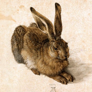 Rabbits, jackrabbits, Young Hare Albrecht Dürer FINE ART PRINT, animal art, vintage antique art prints, art posters, paintings, renaissance