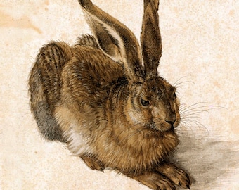 Rabbits, jackrabbits, Young Hare Albrecht Dürer FINE ART PRINT, animal art, vintage antique art prints, art posters, paintings, renaissance