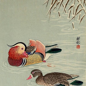 Japanese art, Mandarin Ducks in Snow Ohara Koson FINE ART PRINT, japanese animal birds art prints, art posters, paintings, woodblock prints