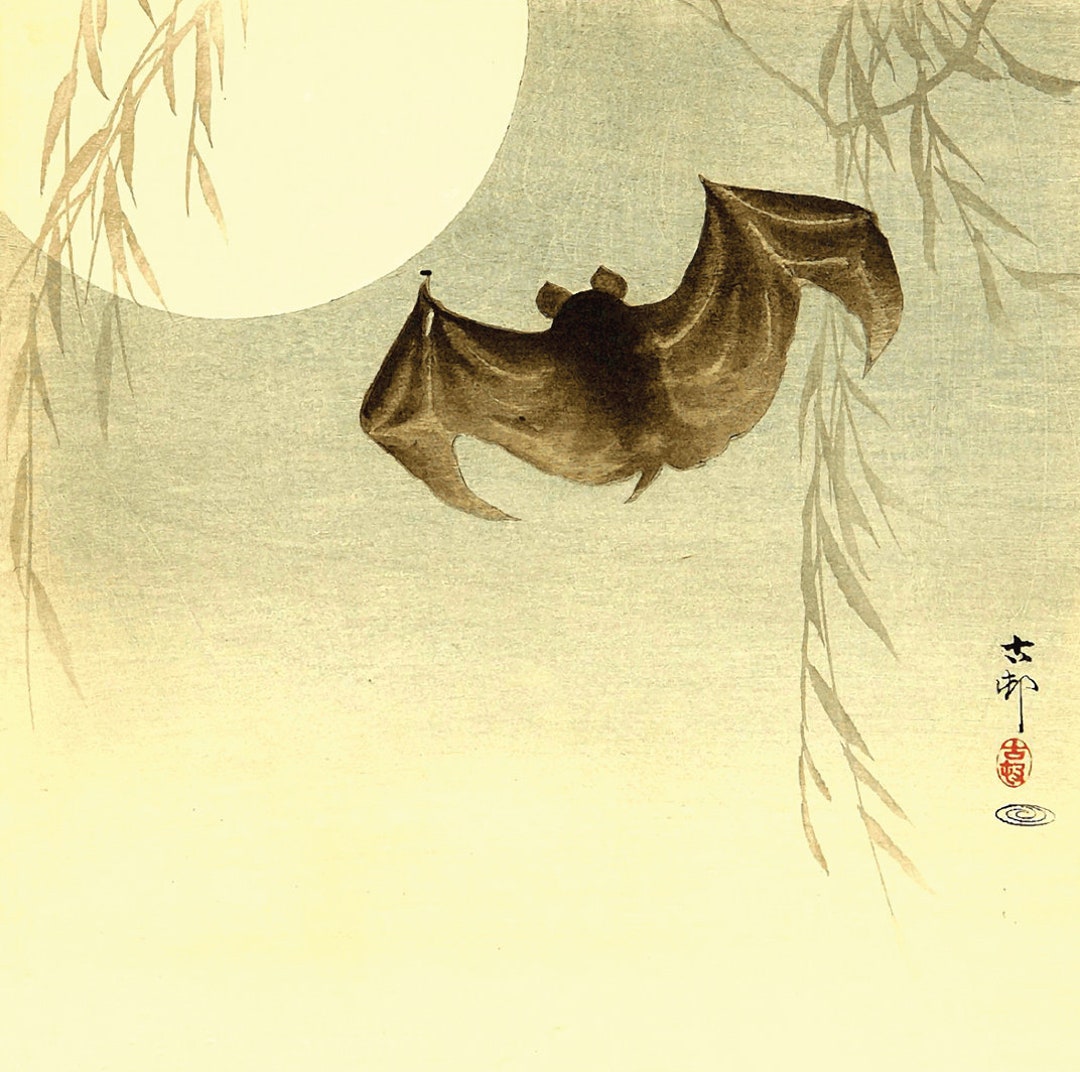 Japanese Art, Japanese Art Prints, Bat Paintings, Bat and the Moon