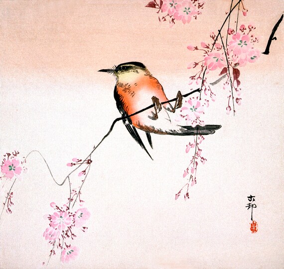 Japanese Art, Birds Art Prints, Art Posters, Japanese Birds Painting, Bird  on Weeping Cherry Ohara Koson FINE ART PRINT, Woodblock Prints - Etsy  Denmark