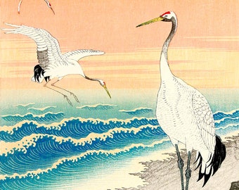 Japanese art, birds art prints, birds paintings, Egrets on sea cost Koson, Shoson FINE ART PRINT, art posters, woodblock prints, animal art