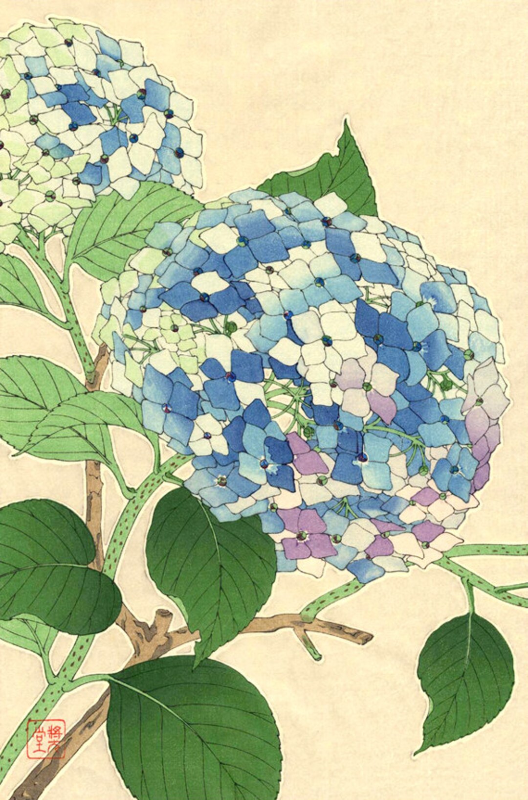 Japanese Art, Flowers Floral Botanical Art Prints, Posters, Hydrangea, Hortensia FINE ART PRINT