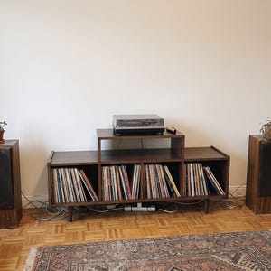 Vinyl Record Storage Console Table