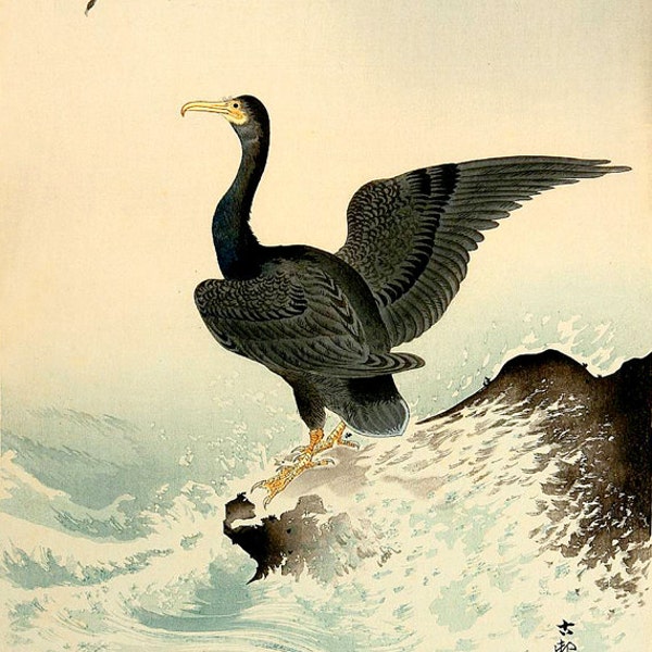 Japanese asian birds art prints, posters, paintings, woodblock prints reproductions. Cormorant by Ohara Koson / Shoson Fine ART Print.