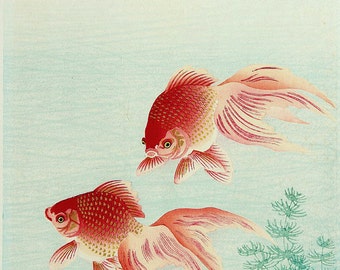 Art japonais, peintures de poissons, poisson rouge Ohara Koson FINE ART PRINT, gravures sur bois japonaises, estampes d'art, affiches d'art mural, décor à la maison au Japon