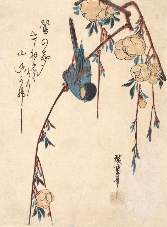 Japanese Birds and Flowers Art Prints, Hiroshige Weeping Cherry Bird FINE  ART PRINT, Paintings and Woodblock Prints Reproductions - Etsy Israel