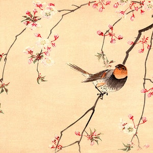 Bird and Flower japanese art, Red Avadavat and Cherry FINE ART PRINT, Japanese birds flowers art prints, posters, paintings, woodblock