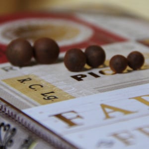 May include: A close-up of a book with the words "Farm Fresh" printed on the cover. There are several small, round, brown objects on the book.