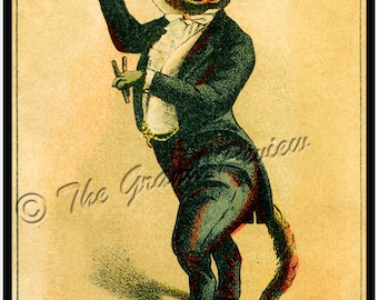 Antique Cat Print - Formal Cat In White Tie And Tails - Playin The Bones - Rhythm Bones