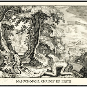 May include: Black and white etching depicting a forest scene with figures and text. The image shows a man and woman in the foreground, a large ape-like figure, and text that reads "NABUCHODON. CHANGE' EN BESTE".