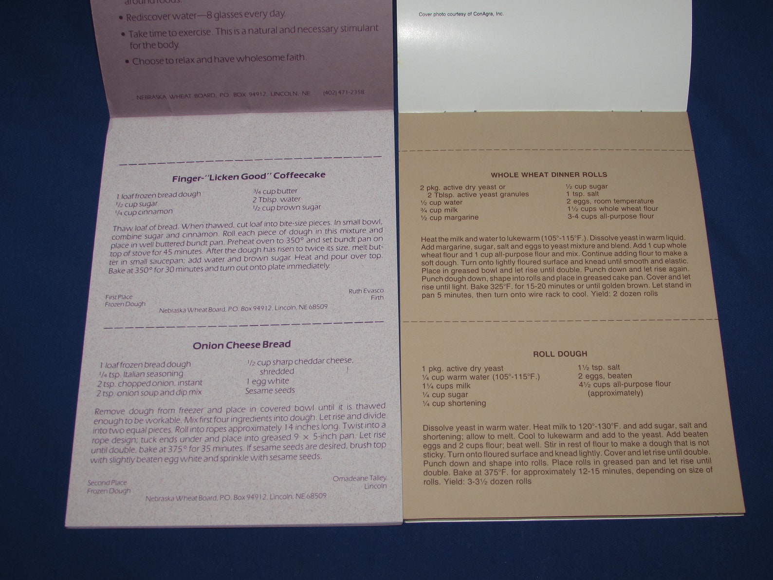 Cookbooks NEBRASKA STATE FAIR 1980s Prize Winning Recipes Free Etsy