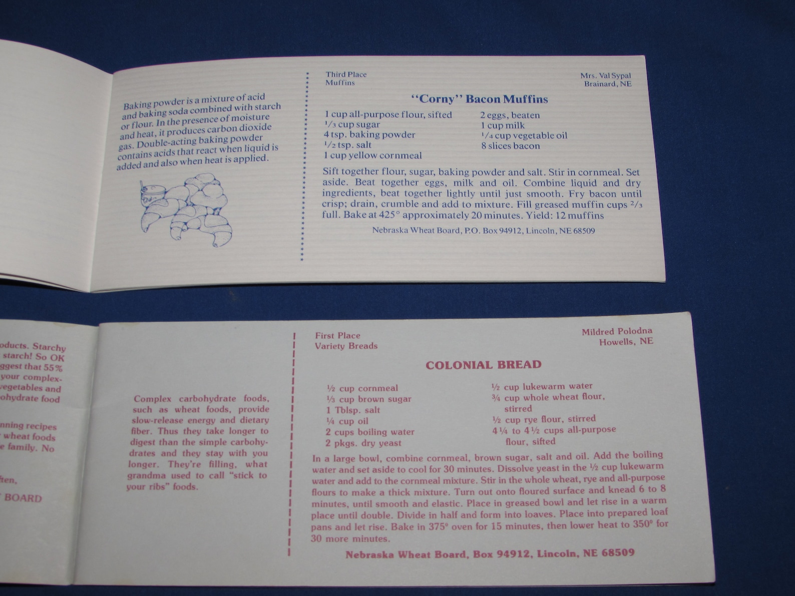 Cookbooks NEBRASKA STATE FAIR 1980s Prize Winning Recipes Free Etsy