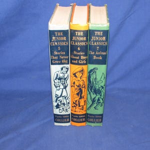 May include: Three vintage hardcover books from "The Junior Classics" series. The spines are white, orange, and green, with titles and illustrations. The books are titled "Stories That Never Grow Old", "Stories About Boys and Girls", and "The Animal Book".