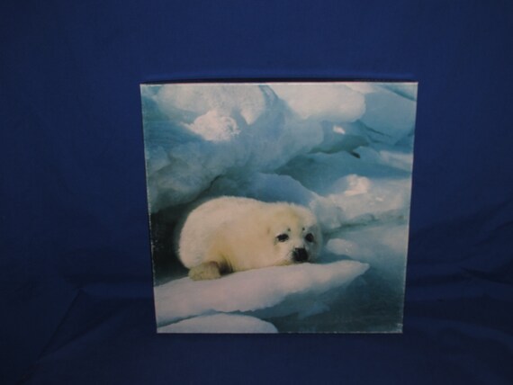 SPRINGBOK JIGSAW PUZZLE Furry Polar Seal 500 Pieces Hallmark